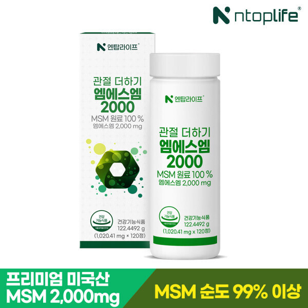 관절 더하기 엠에스엠 2000