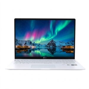 LG전자 그램 FHD 15.6인치 15Z90N i7 10세대/16GB/NVMe SSD 256GB/윈11