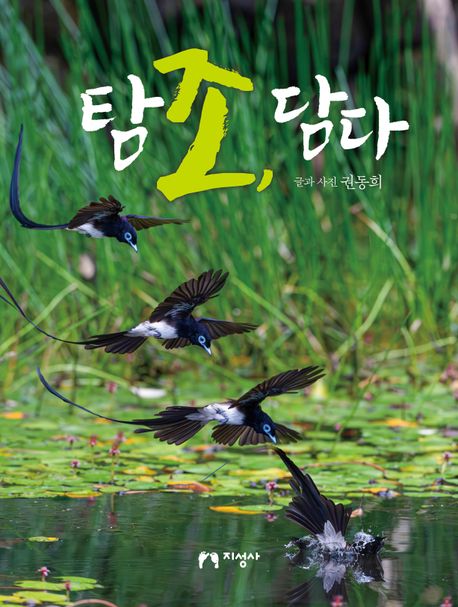 탐조, 담다