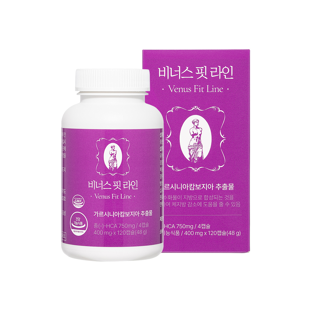 비너스 핏 라인