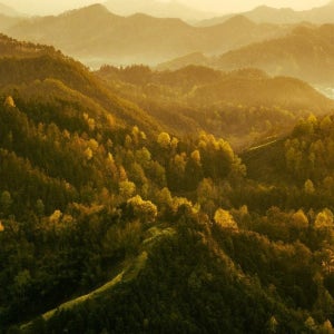 광고 메인 이미지