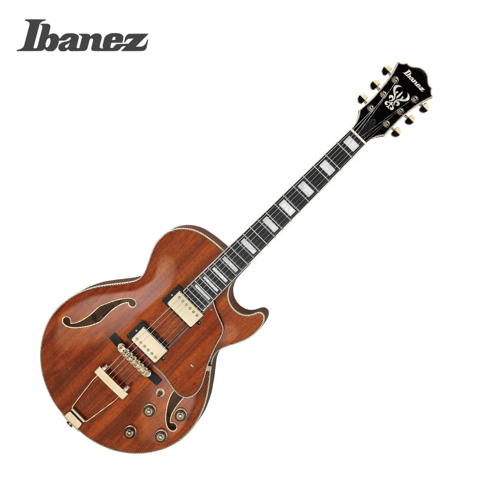 Ibanez 아이바네즈 IBANEZ 일렉기타 AG95K