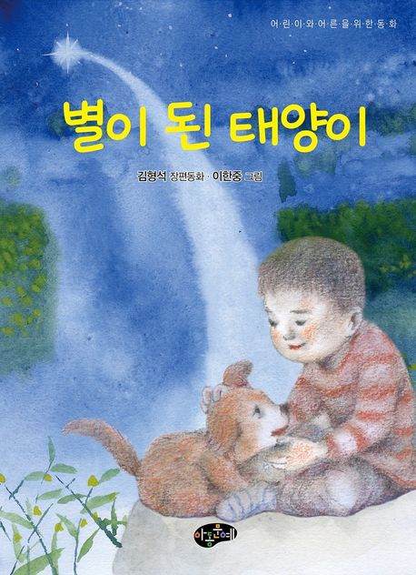 별이 된 태양이 표지