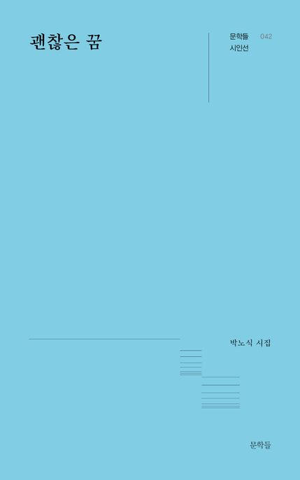 괜찮은 꿈  : 박노식 시집