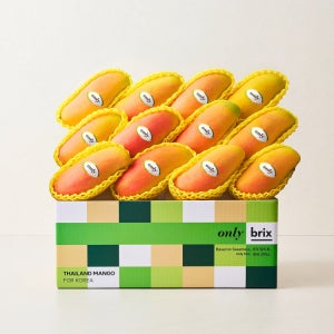 [새벽에On] 상위 1% 망고의 탄생, 온리브릭스 마하차녹 무지개망고 2.5kg / 5kg