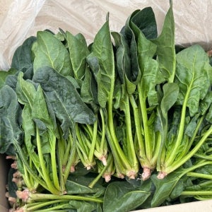 [밋앤밀] 국내산 부여 시금치 1kg