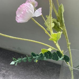 위고마켓 협동조합 인테리어 촬영소품 유칼립투스 조화 B (10469973)