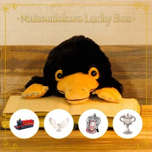 [해리포터] 해리포터 기간한정 럭키박스