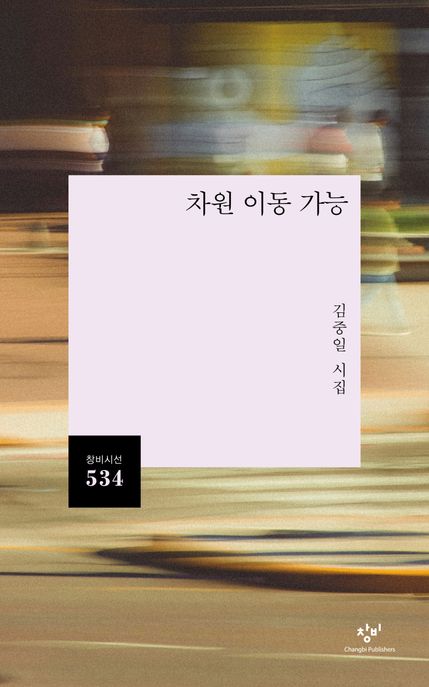 차원 이동 가능 : 김중일 시집