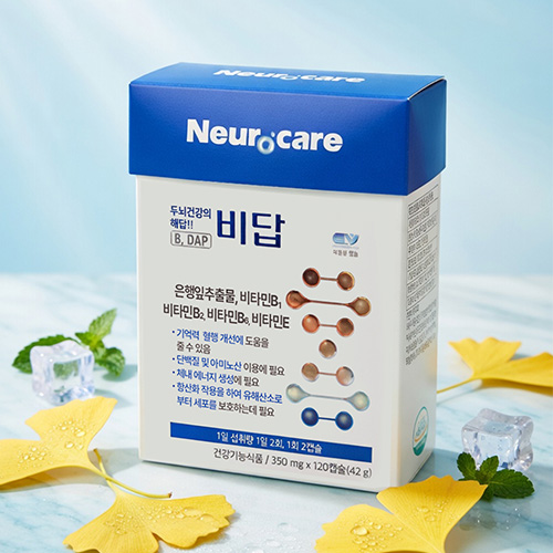비답