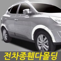 자동차 휀다몰딩 커버 휀다가드 로체 싼타페CM 액티언