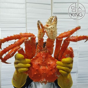 [롯데백화점] 맘스킹 [맘스킹]정성씨푸드 동해직송 러시아 A급 킹크랩 자숙 2.5KG LE1220628006