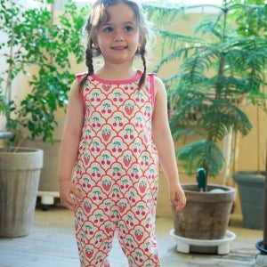 아밀로 체리베리 카이덩가리