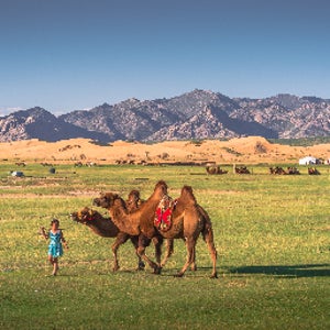 몽골 테렐지 엘승타사르하이 사막 6일5성급호텔 현대식게르(2인1실) 모래썰매 낙타체험 초원승마 NO팁 NO옵션 NO쇼핑 대표옵션ALL포함