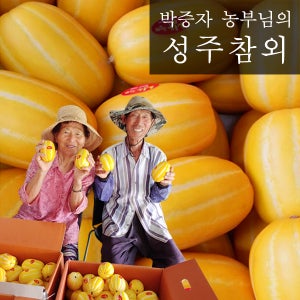 박증자농부의 성주참외 10kg 특과23-35과