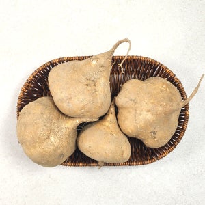 아삭한 무농약 히카마감자5kg