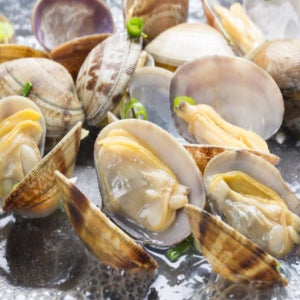 남해안 물바지락 2kg