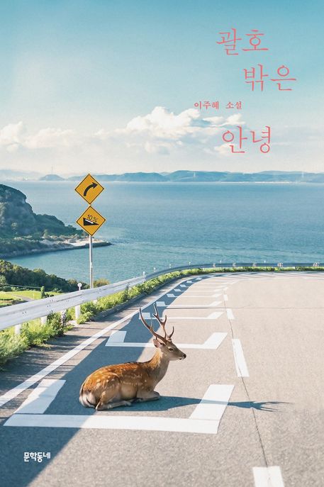 괄호 밖은 안녕 : 이주혜 소설집 