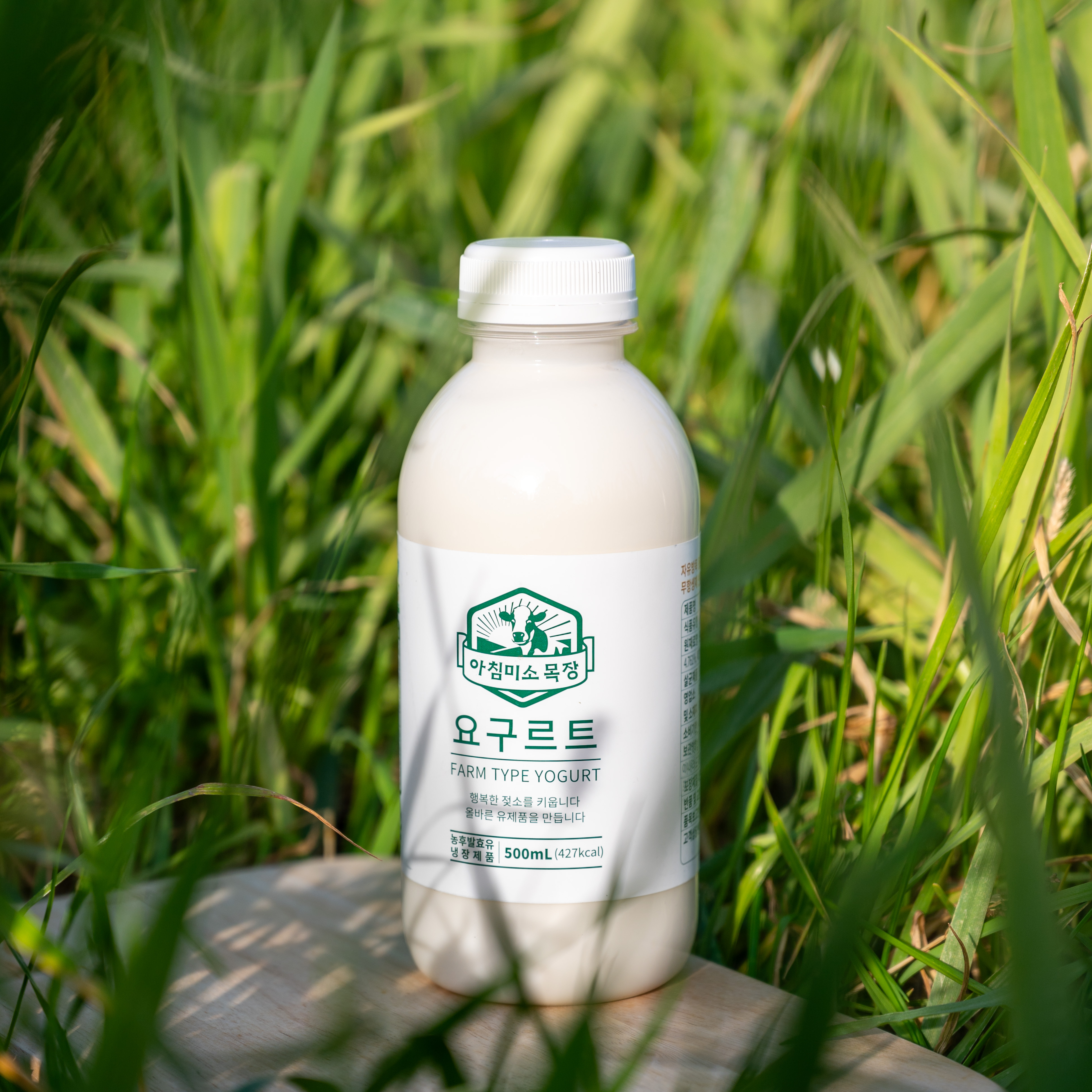 Achim Misomokjang Animal Welfare Jeju Yogurt, Stomach-Friendly Drinking Yogurt Plain 500ml, 1 unit