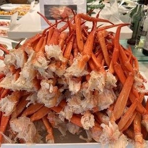 노랑풍선 도쿄4일 패키지 여행 풀패키지 온천욕 디즈니선택 이스타항공 9월9일출발