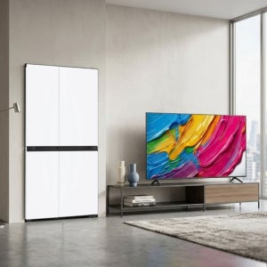 LG 디오스 AI 오브제컬렉션 냉장고 + LG QNED TV 스탠드형 (S836MQQ012 + 65QNED75AEA)