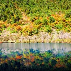 홈쇼핑따라잡기 구채구 황룡 5일 패키지 여행 열차이동 중국국제항공 07월23일출발