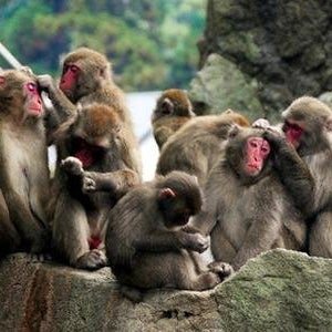 출발확정후쿠오카3일 패키지 여행 온천욕 제주항공 05월09일출발