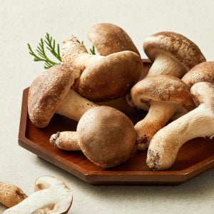 송이고버섯선물세트 700g