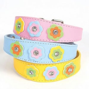 지엠 샤이니 플라워 가죽목줄 S [랜덤발송]