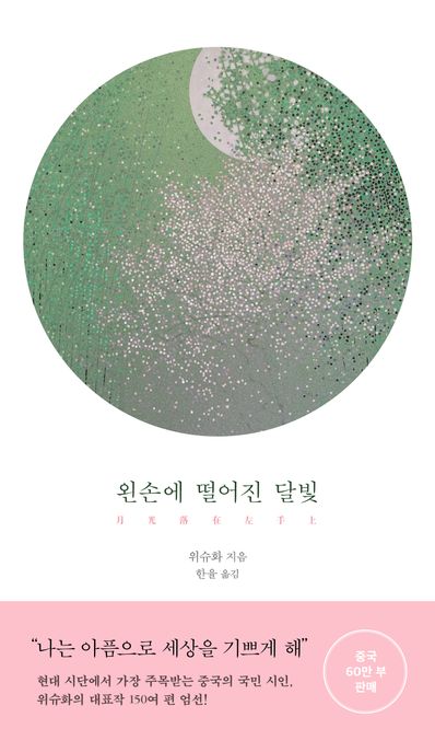 왼손에 떨어진 달빛 표지