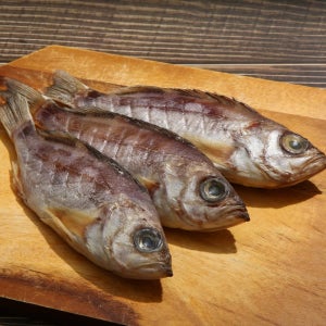 삼천포 용궁수산시장 반건조 생선 모음 볼락/꽃돔/서대/백조기/나막스/민어