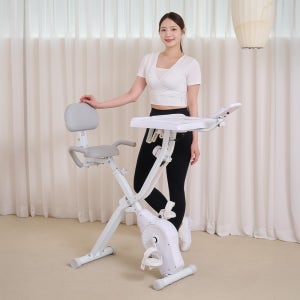 바디핏 데스크 엑스바이크