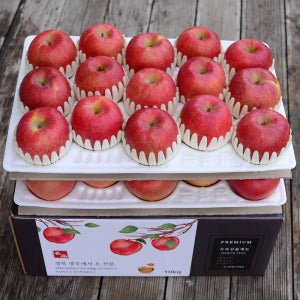 [영주풍기사과농장] 소백산 사과 10kg 28-32과 #중대~대과 #햇사과 #산지배송[