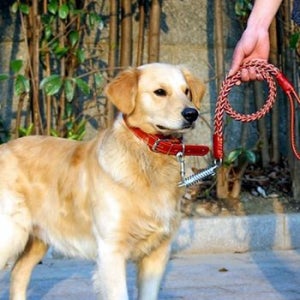 은플 희망 애완견 대형견 가죽 목줄 로프목걸이 대형