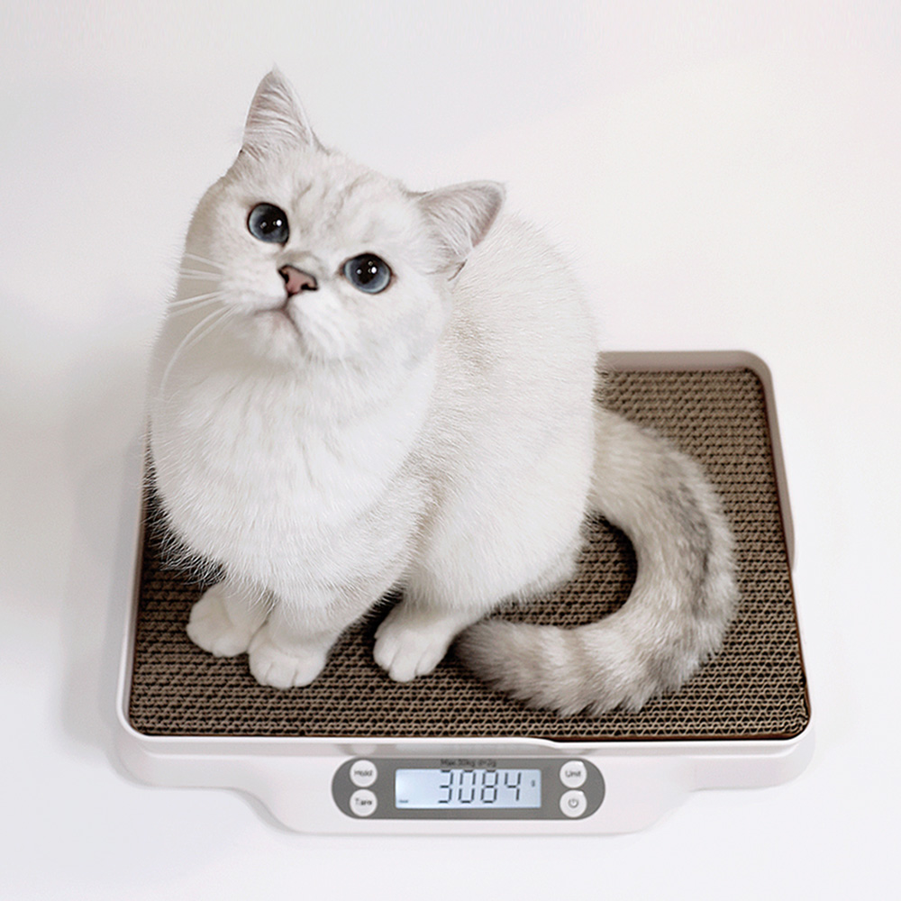 묘키로 고양이 스크래쳐 체중계