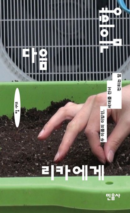 다음 리카에게 : 두 이름의 이방인, 세대를 건너 전하는 말