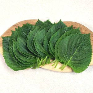 향긋한 향과 맛이 그대로 살아있는 유기농 인증 깻잎500g