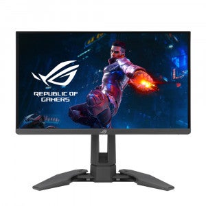 ASUS ROG SWIFT PRO PG248QP 대원씨티에스