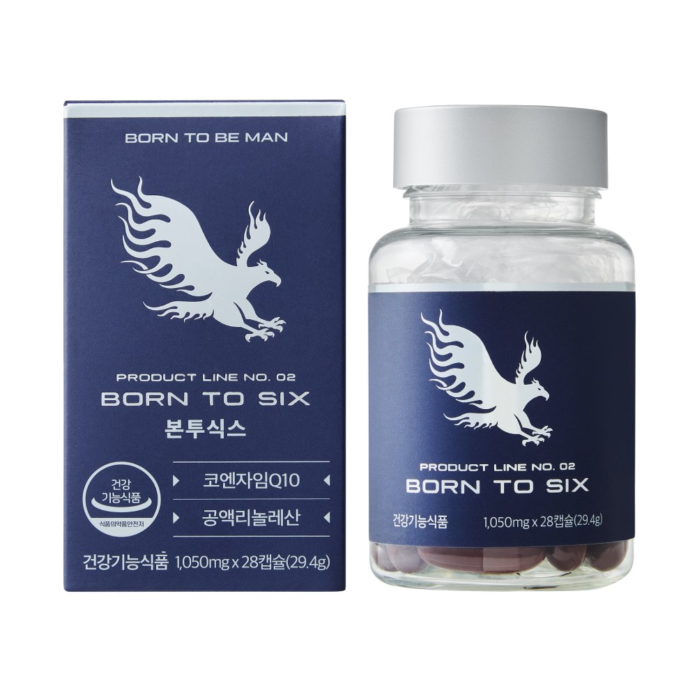 본투식스