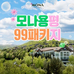 모나용평리조트 모나용평 워터파크 99패키지 1박 4인