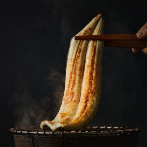 민물장어 손질 후 1kg (5마리)