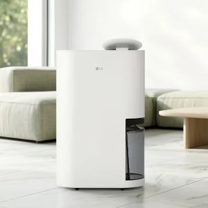 [Npay 결제혜택가 84만] LG 휘센 오브제컬렉션 제습기 DQ256MWGA