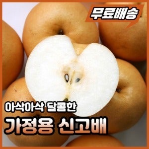 가정용 신고배