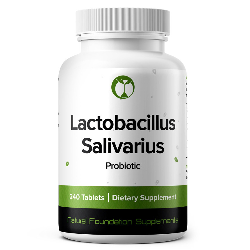 락토바실러스 살리바리우스(Lactobacillus salivarius)