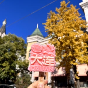 대련 여순 3일 안중근의사의 발자취 NO옵션 NO쇼핑 NO기사가이드경비