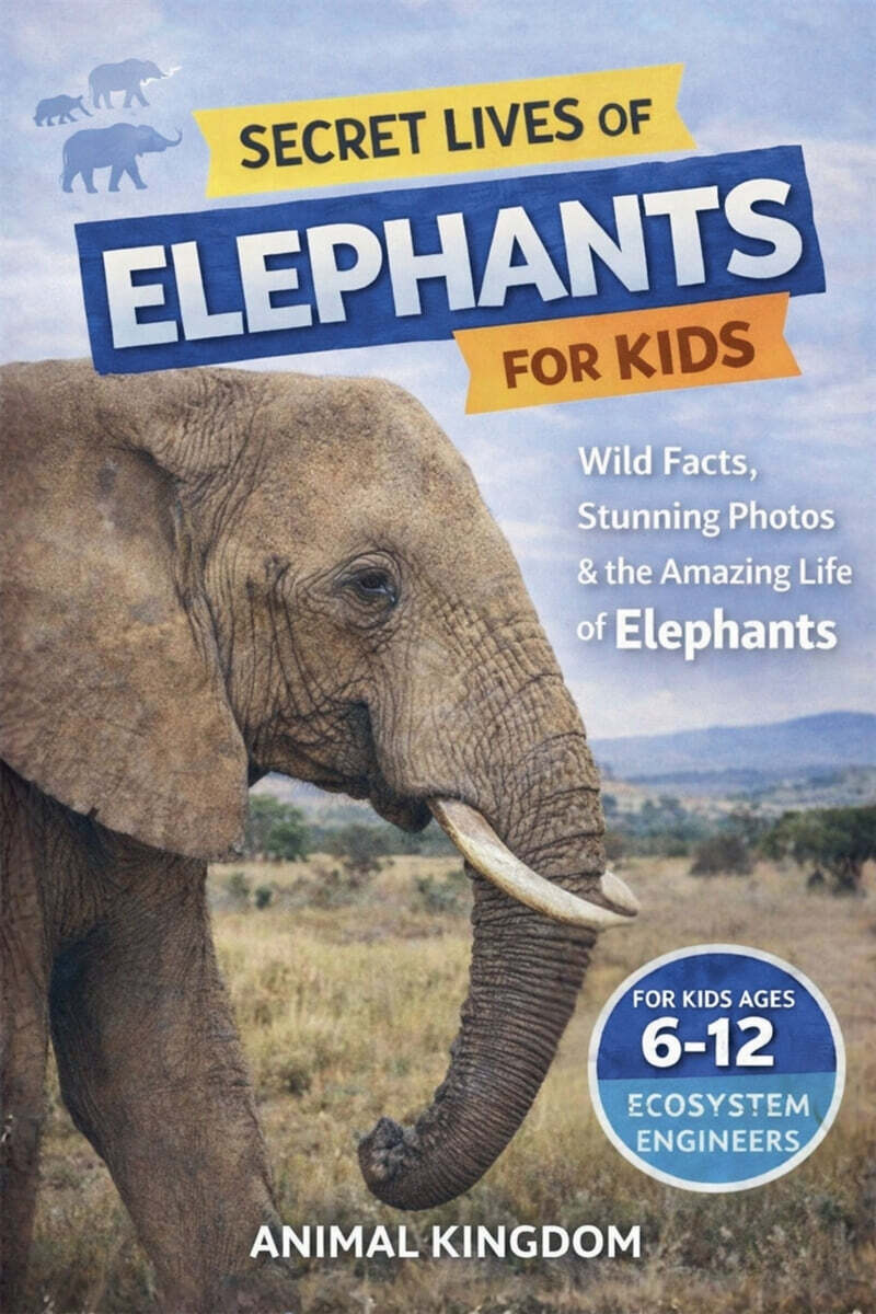 9798235873315