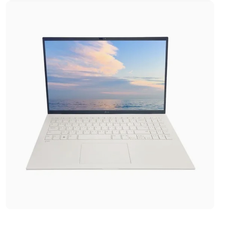 LG전자 그램17 15Z90U-GS5DK 16GB, 256GB