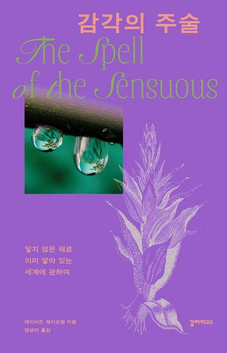 감각의주술