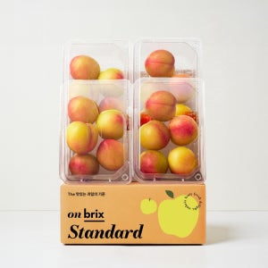 [새벽에On] 새콤달콤 여름 한 입, 대석 자두 600g / 1.2kg (14brix)