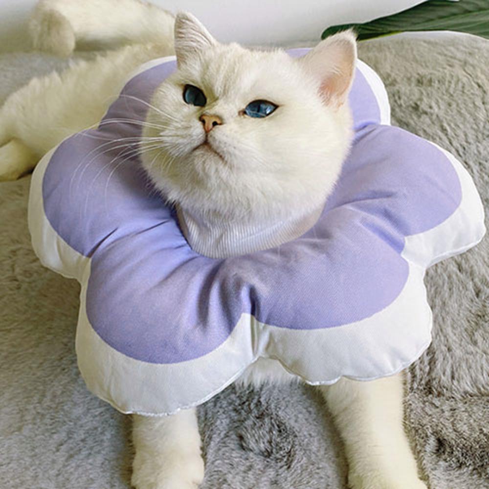 고양이 중성화수술 후 필수 넥카라(블루S) 강아지깔때기